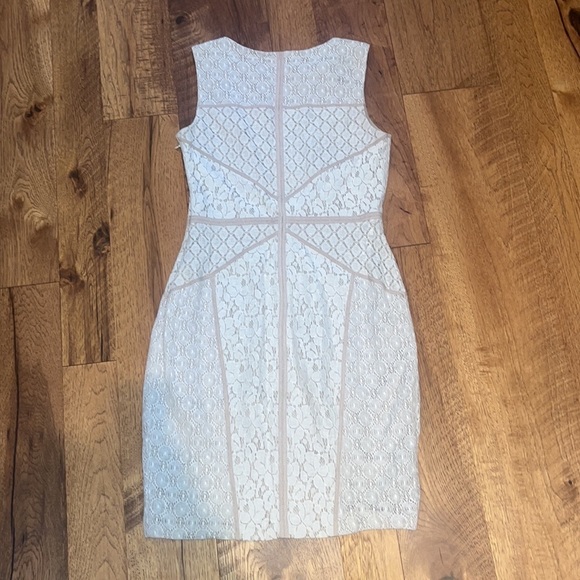 Maggy London Woman’s Lace Dress Size 6 - Picture 4 of 6